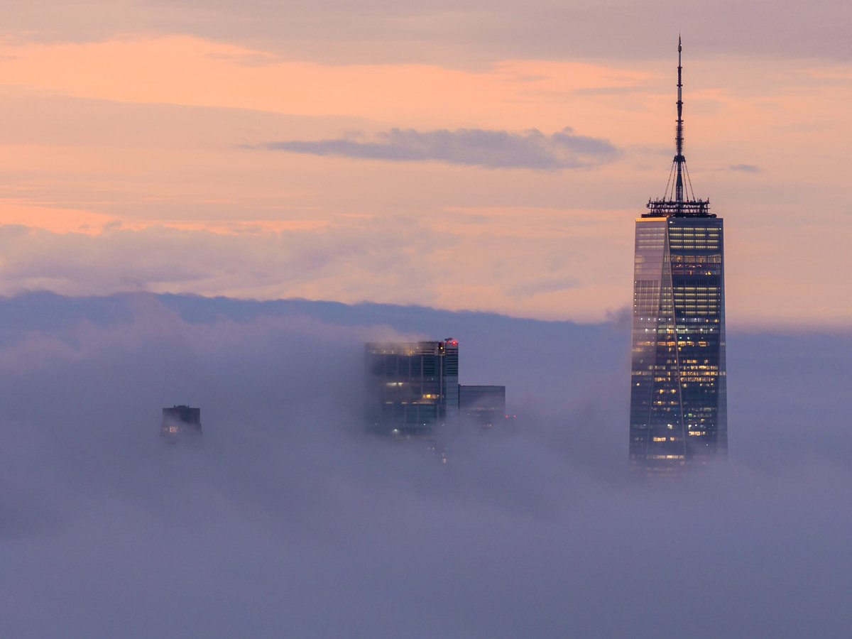 Dan Martland tweet media