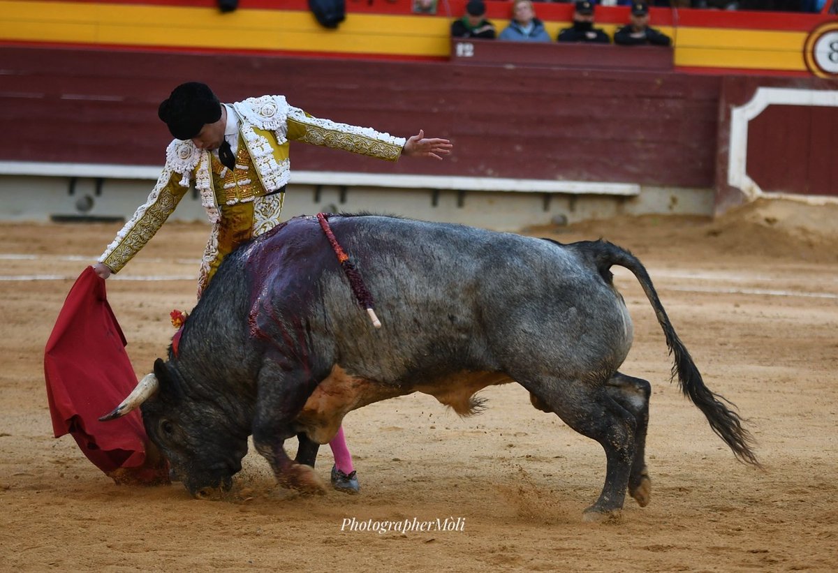 El Mòli tweet media