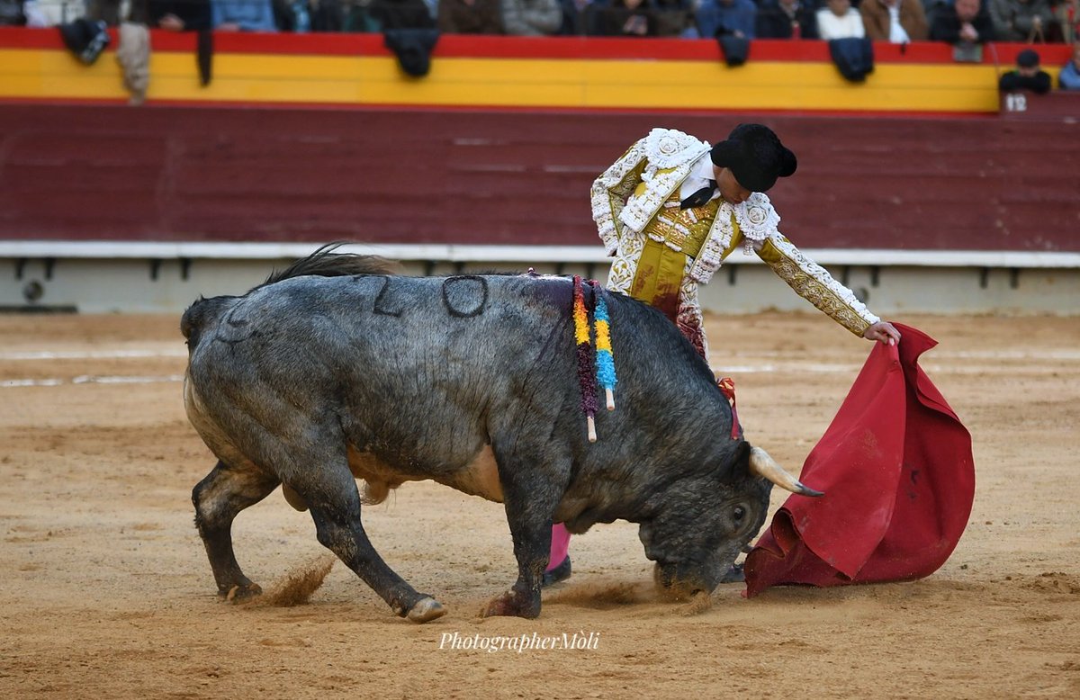 El Mòli tweet media