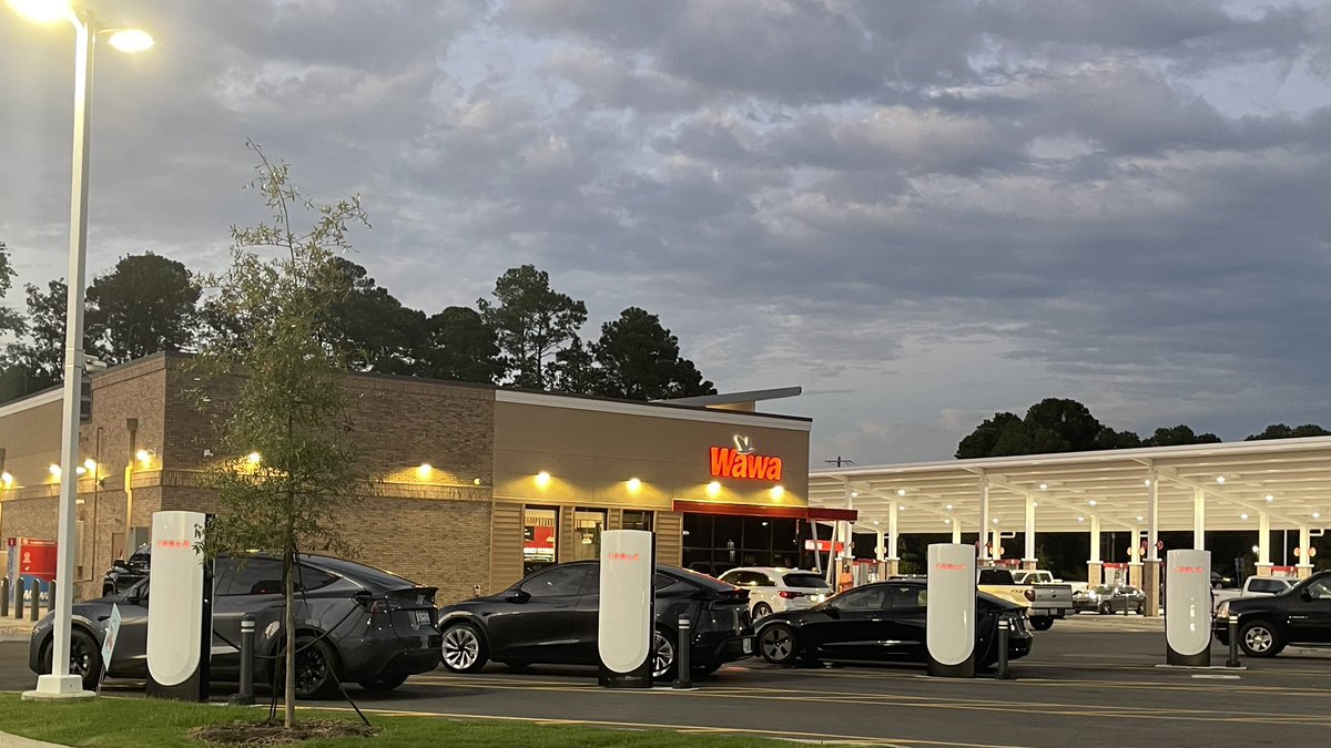 Watermelon Jelly Bean tweet media