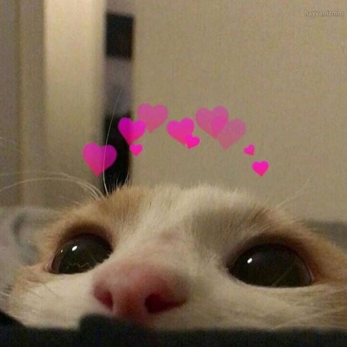 Feliz dia das mulheres, parceiras! ✨🫶🏻✨