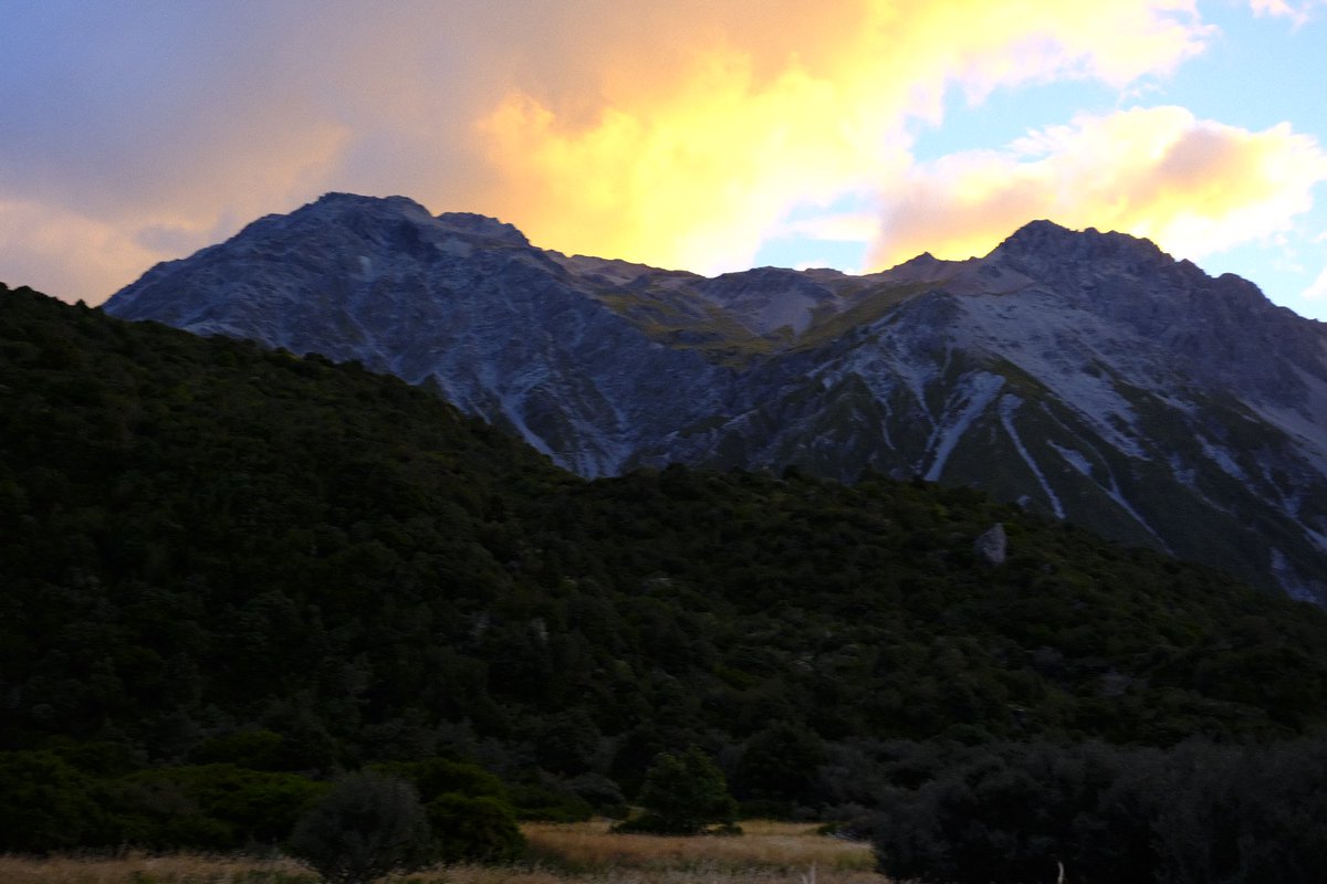 dev (riddict) tweet media