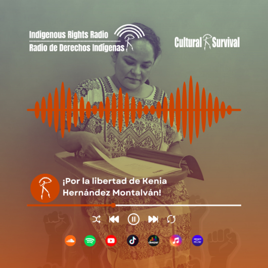 Cultural Survival en Español tweet media