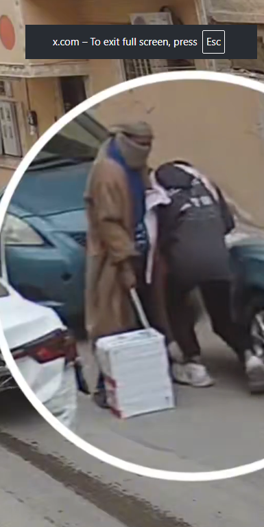 Theyoungpixel tweet media