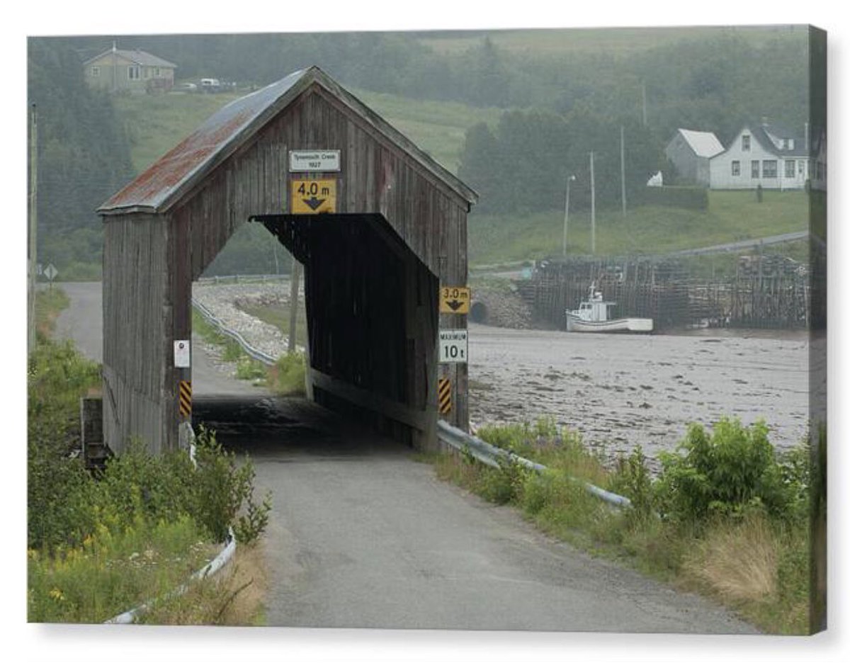 shonna99784's tweet image. Rustic Covered Bridge by Tynemouth Creek - Canvas Print shonna-hawkins.pixels.com/featured/rusti…

#Rustic #CoveredBridge #TynemouthCreek #NewBrunswick #CanvasPrint #FineArt #HomeDecor #WallArt #ShonnaHawkinsPhotography