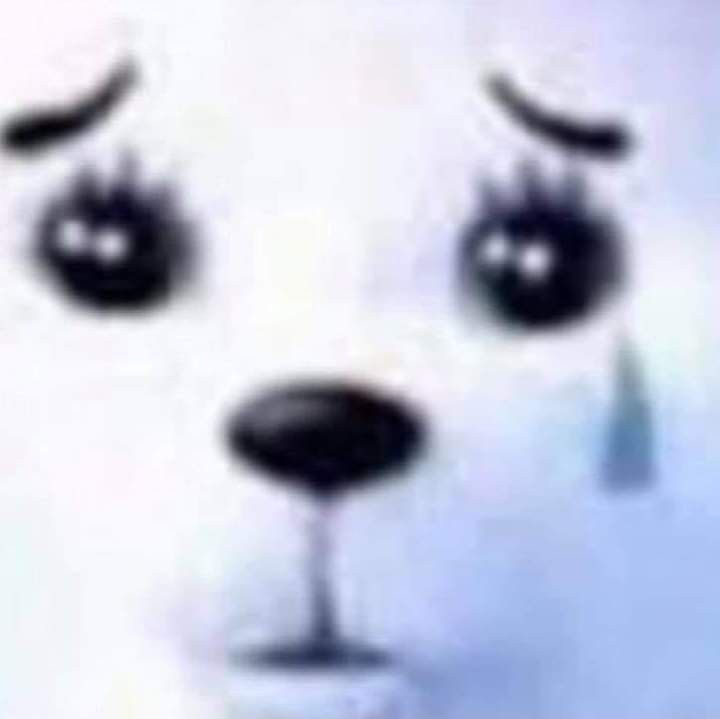 Furbobocom tweet media