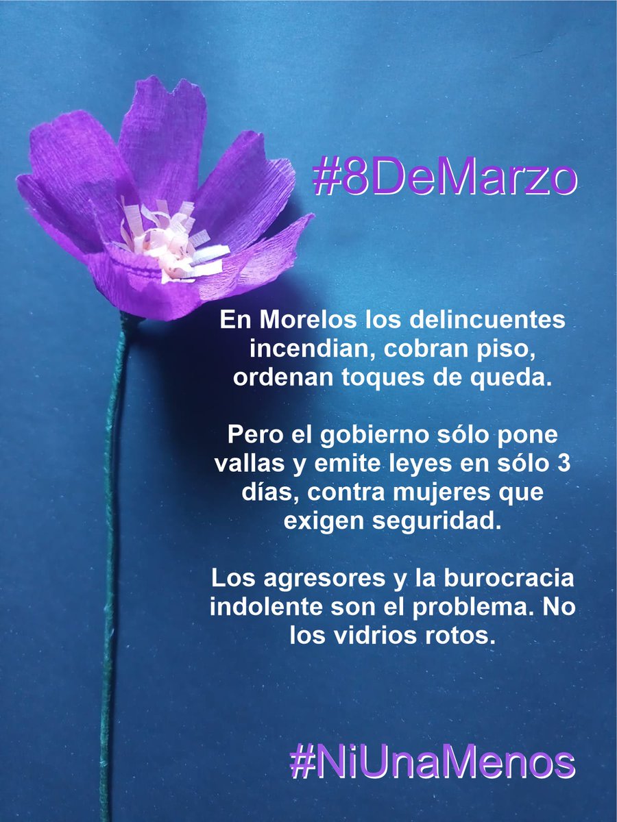 #DiaInternacionalDeLaMujer
