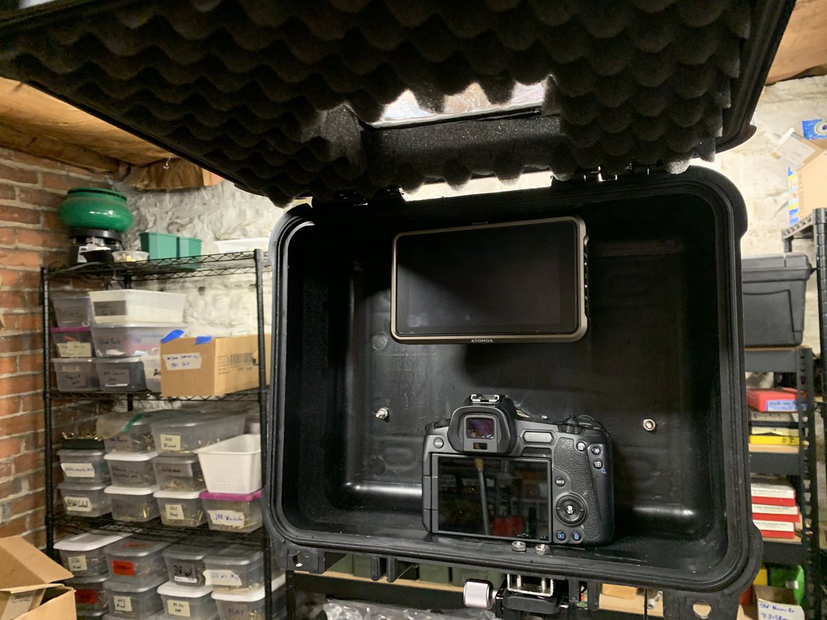 Operator_AF tweet media