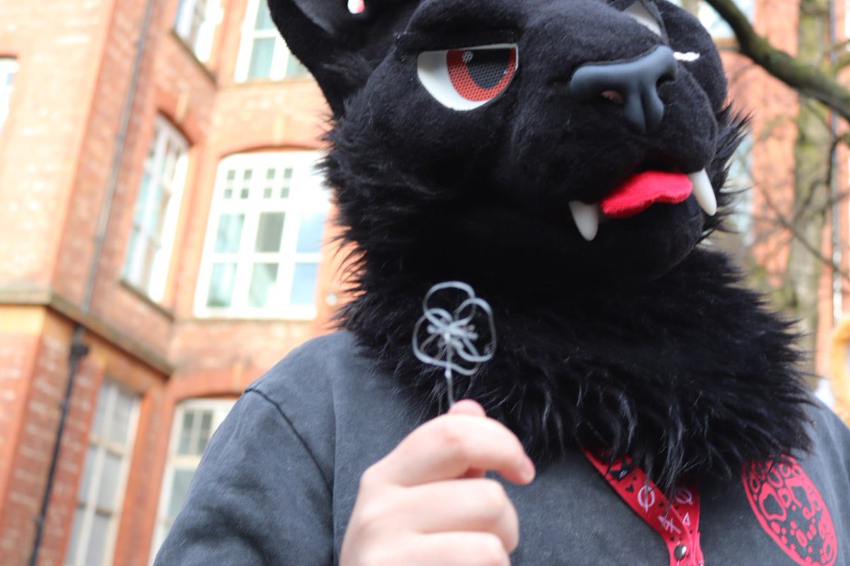 Lysander 🔜 CFZ tweet media