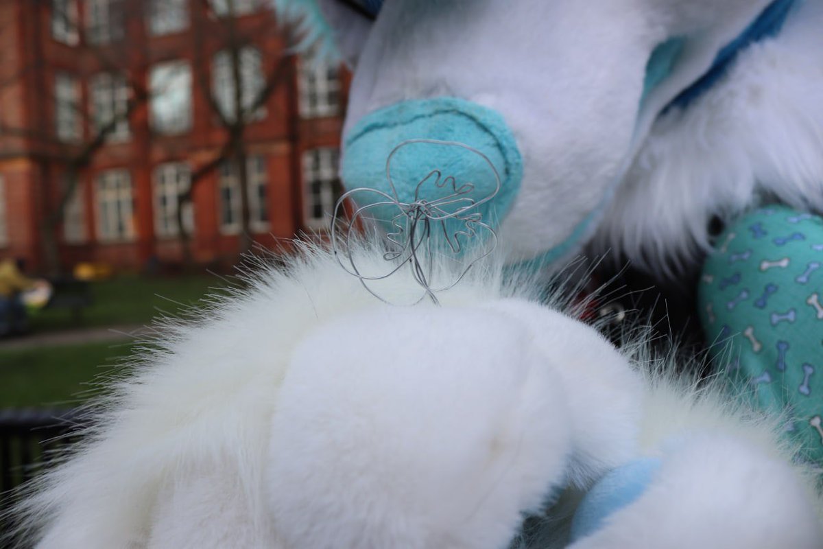 Lysander 🔜 CFZ tweet media