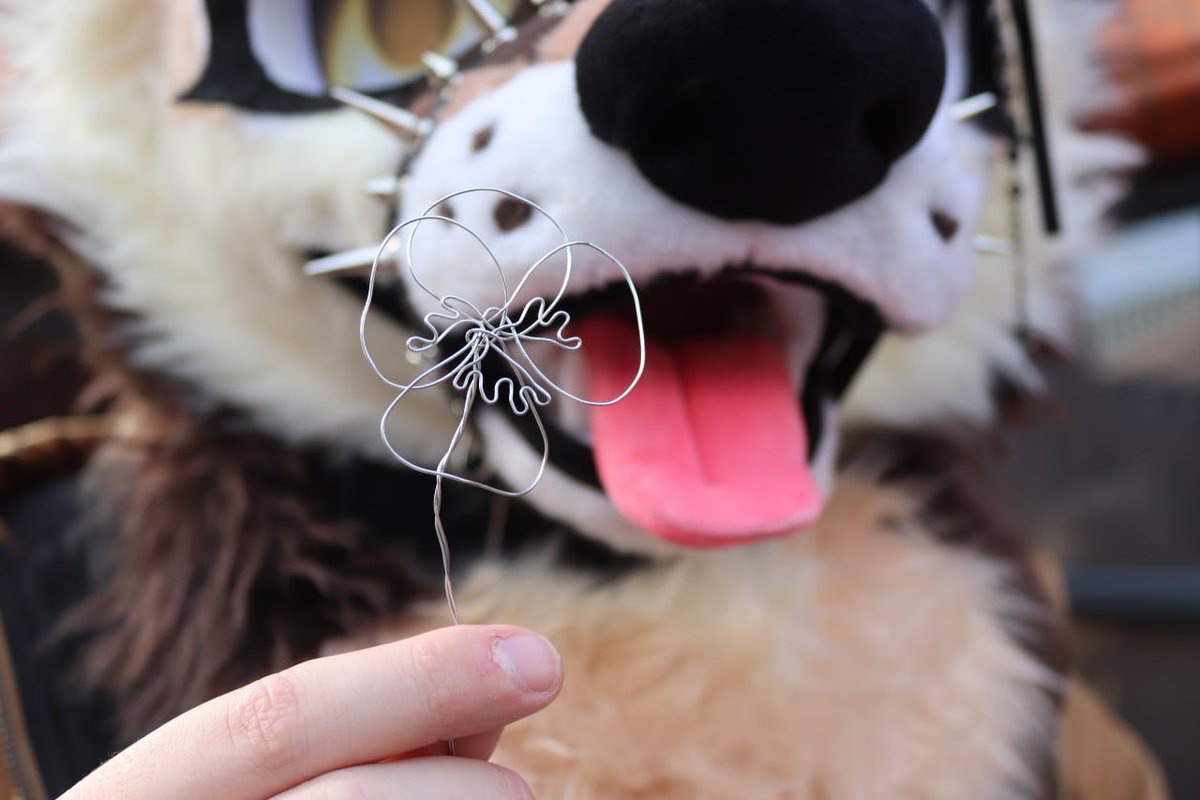 Lysander 🔜 CFZ tweet media