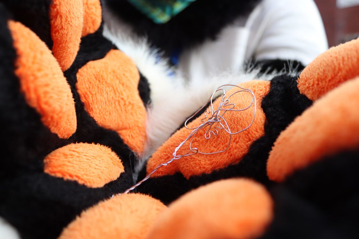 Lysander 🔜 CFZ tweet media