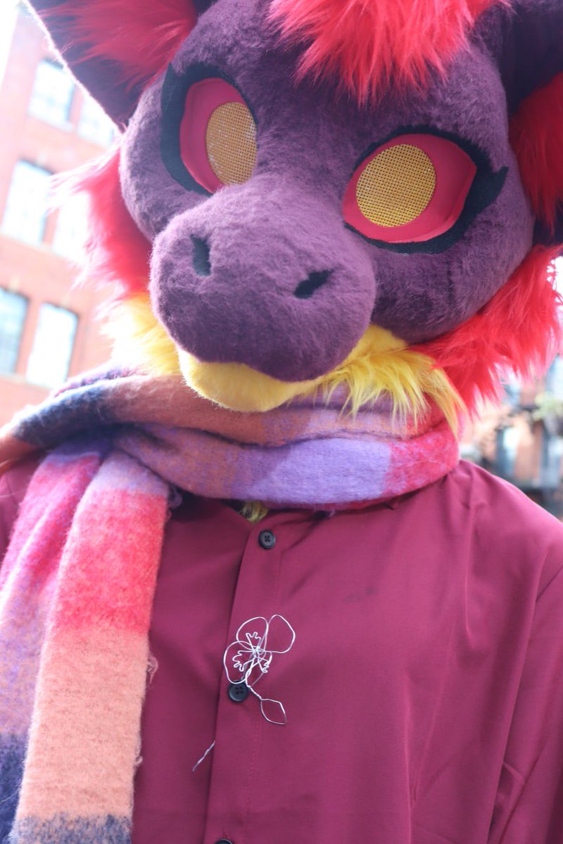 Lysander 🔜 CFZ tweet media