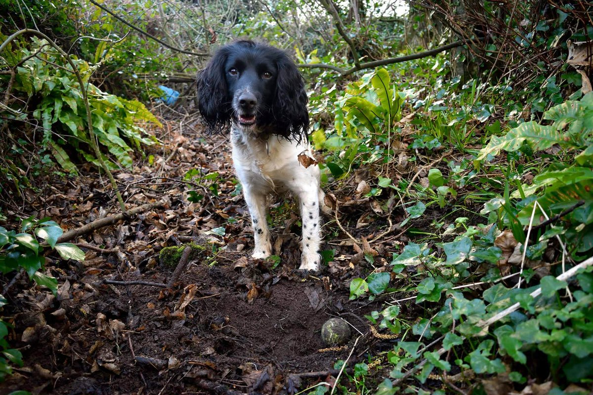 Jessica Hamilton tweet media