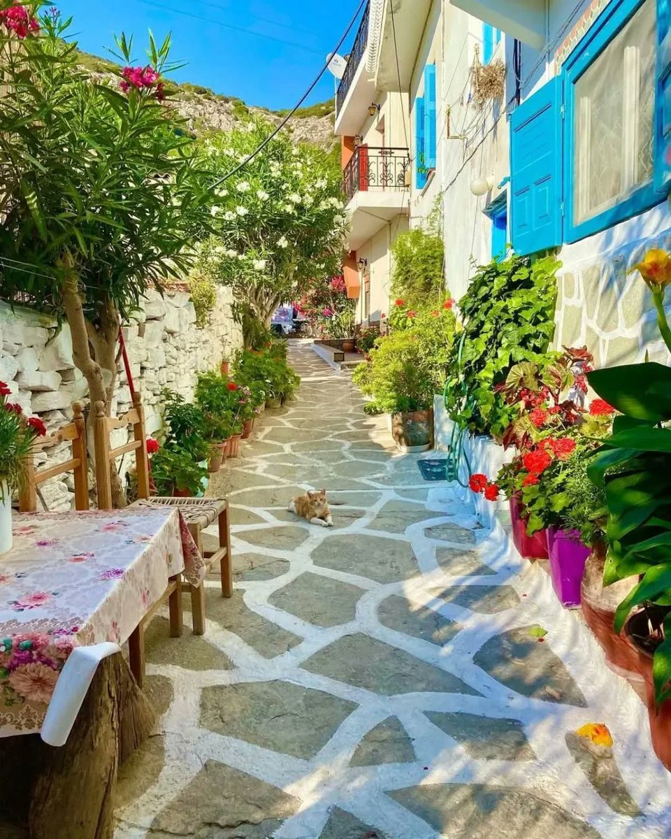 A quiet alley in #Fournoi. Stone paths warmed by the sun, flowers leaning from every corner, blue shutters open to the Aegean light. And somewhere in the middle, a sleepy cat reminding us how slowly life can move on a Greek island. 🇬🇷
📷 konstantinos_mark7
