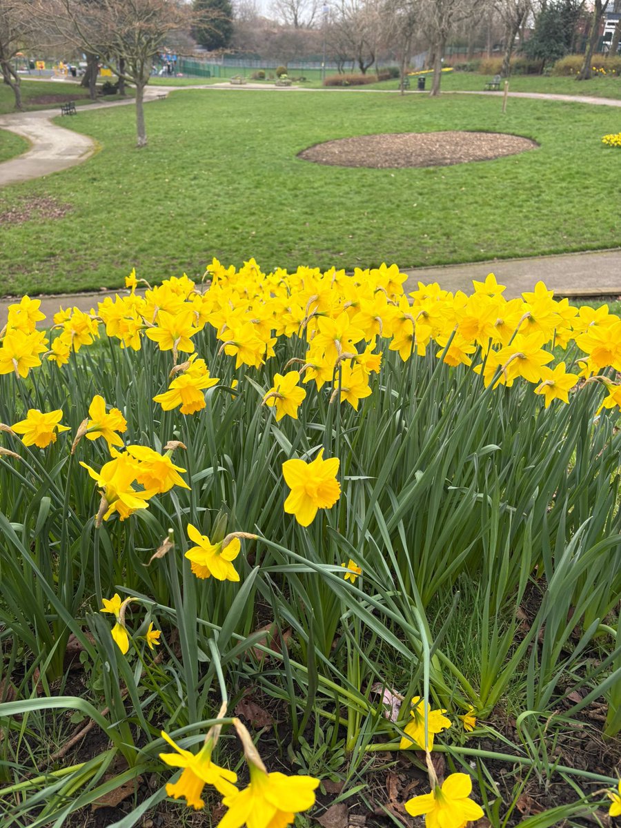 Valley Gardens Castleford tweet media