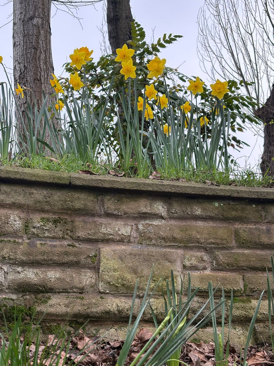 Valley Gardens Castleford tweet media