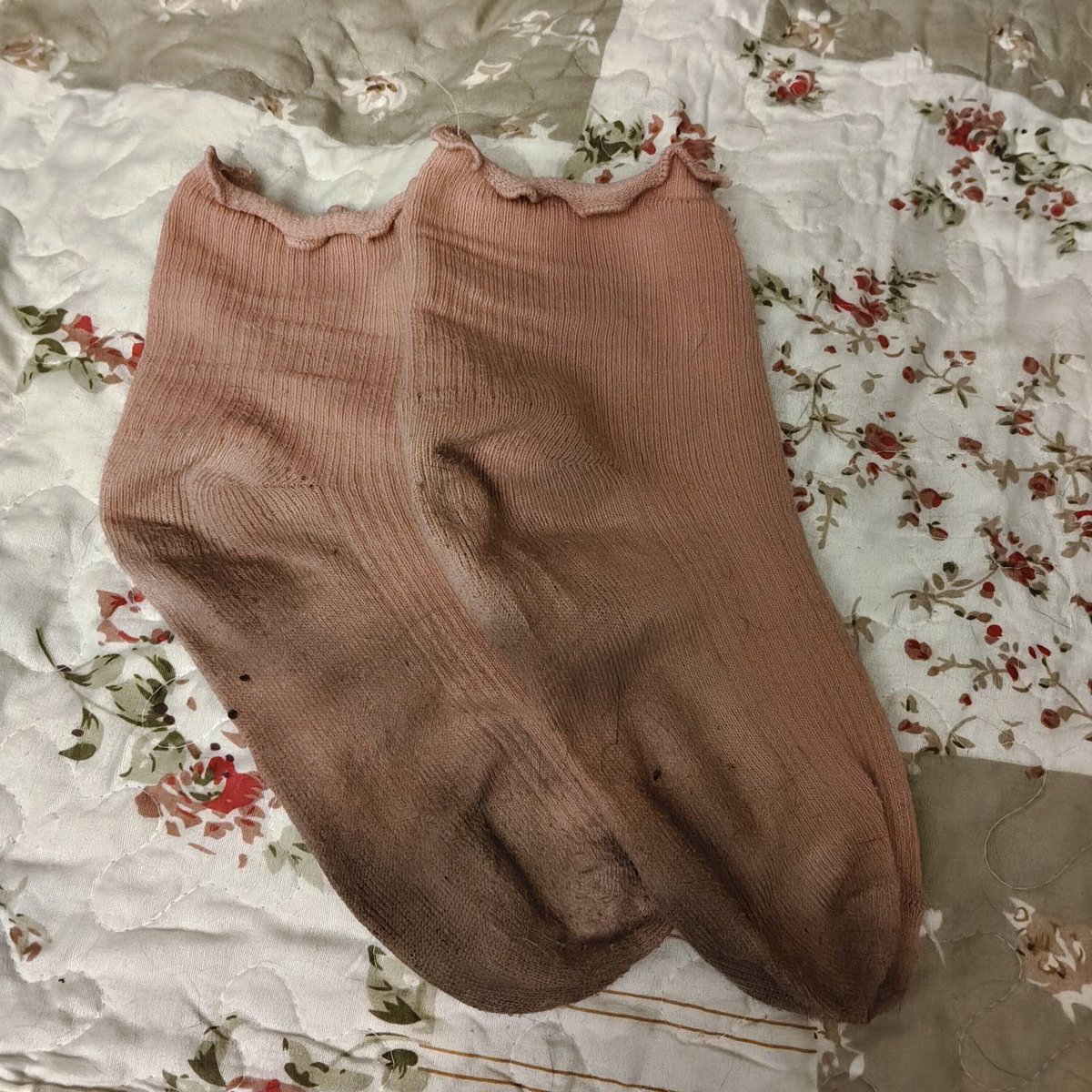 Dominika tweet media