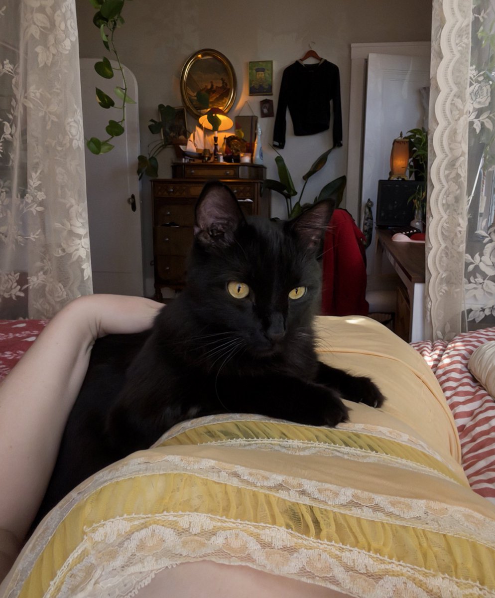 stuffie🕯️🥀🍰 tweet media