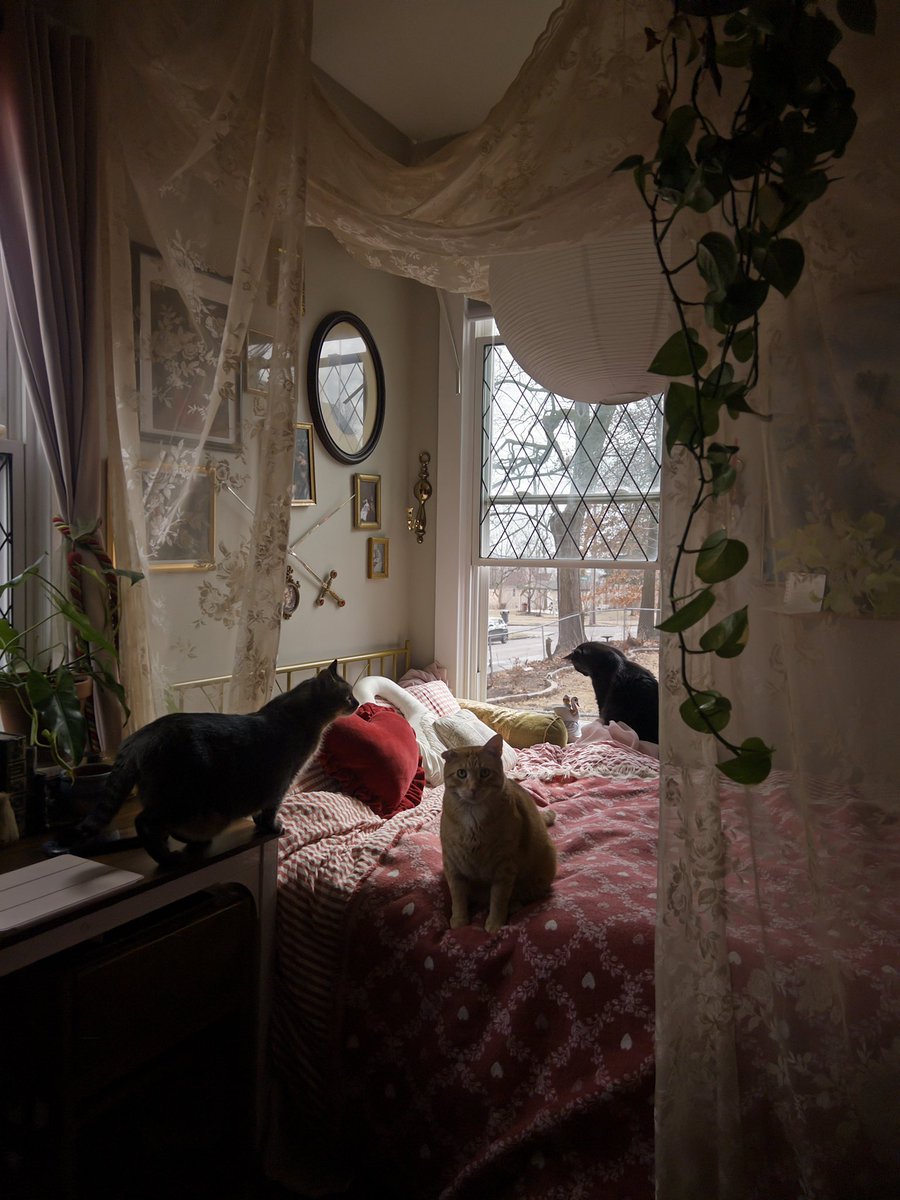 stuffie🕯️🥀🍰 tweet media