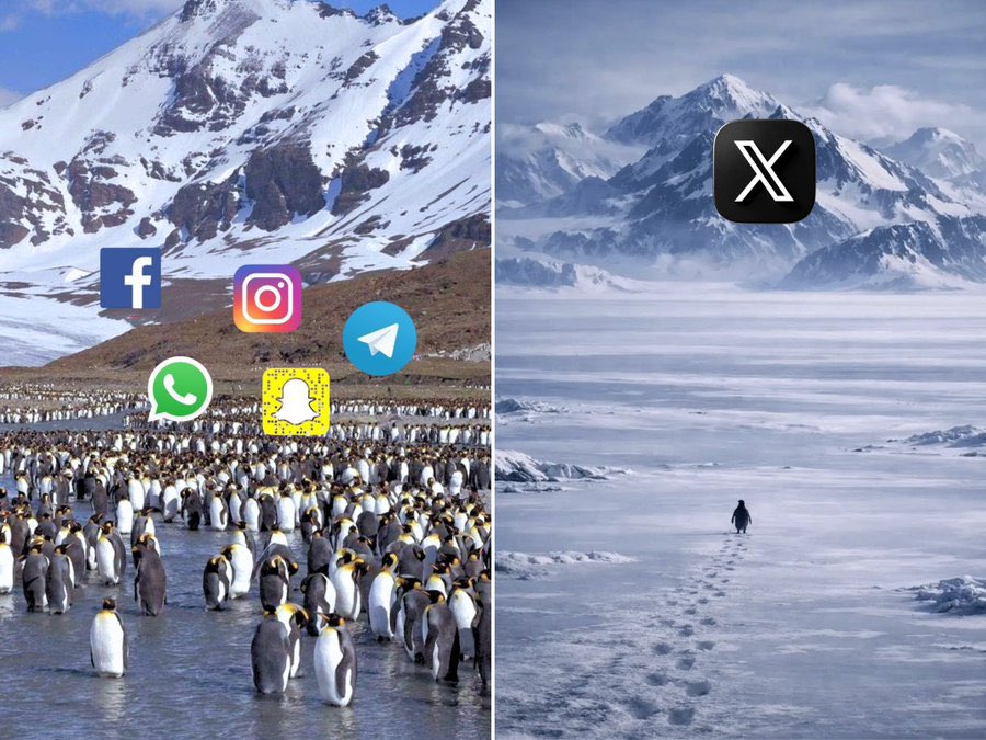 Victor Sam tweet media