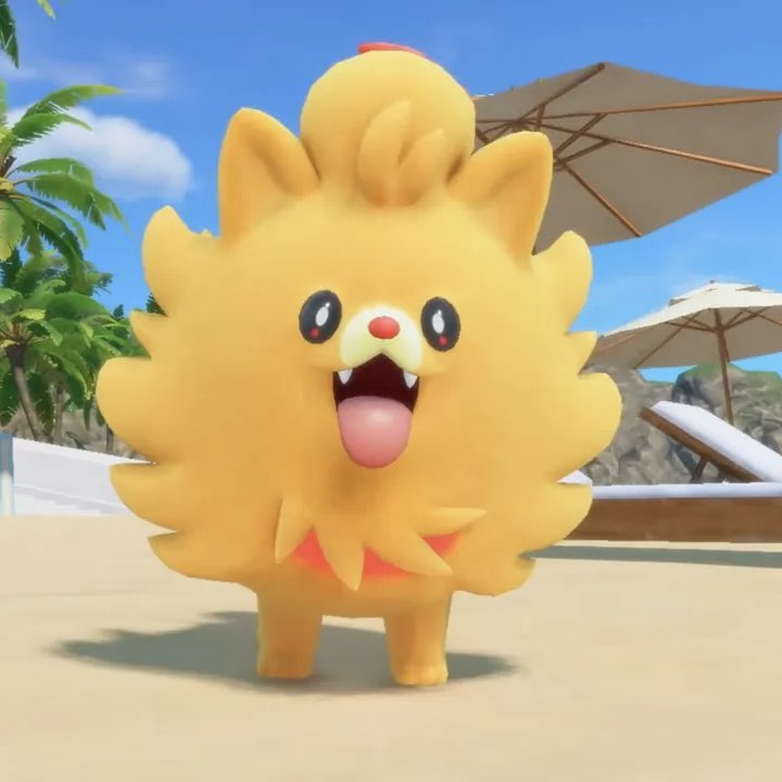 Pombon Pack tweet media