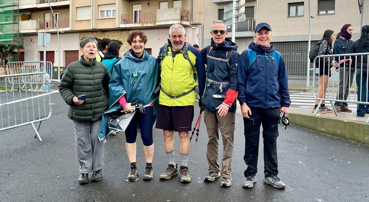 aamp.cat tweet media