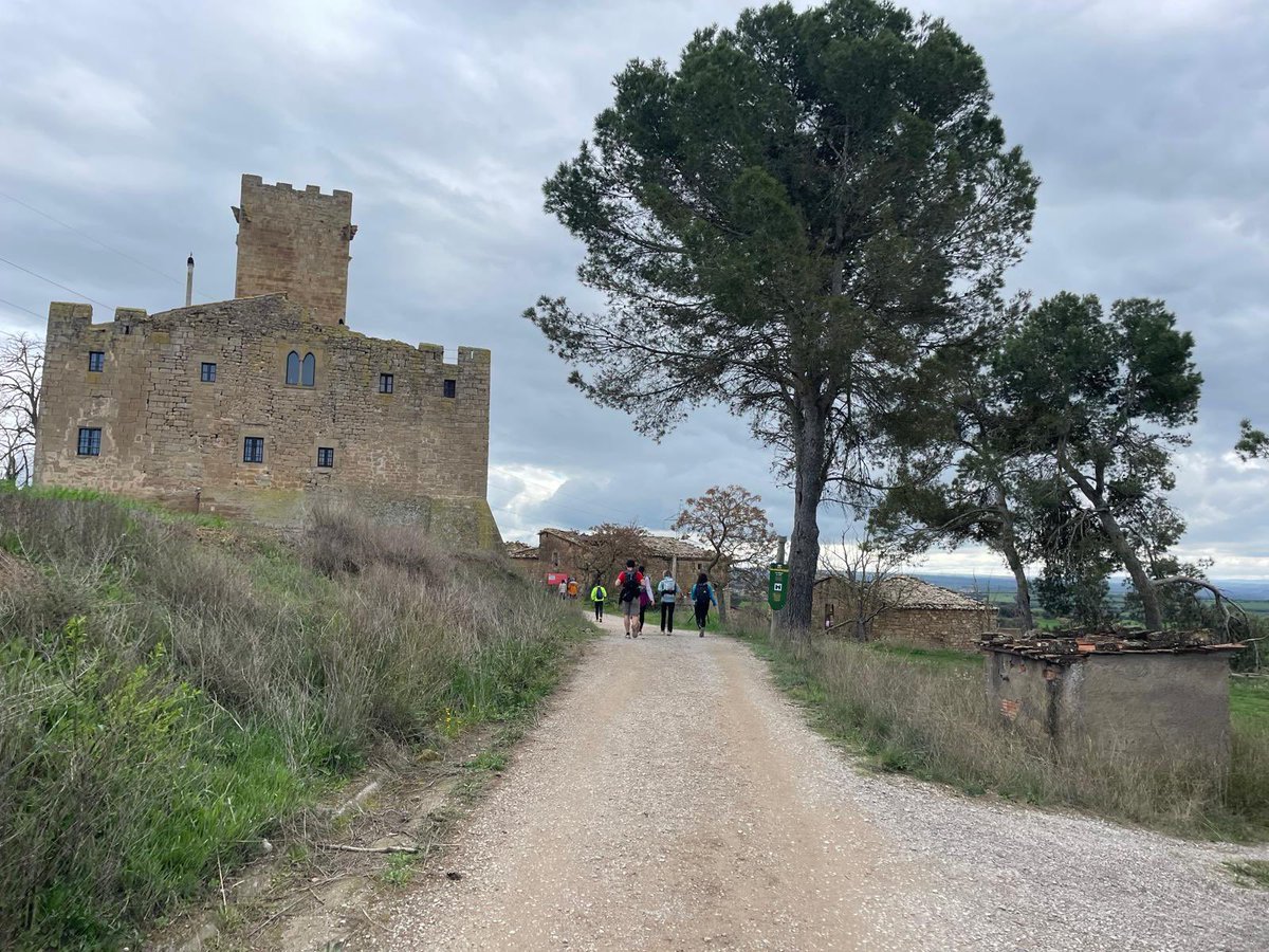 aamp.cat tweet media