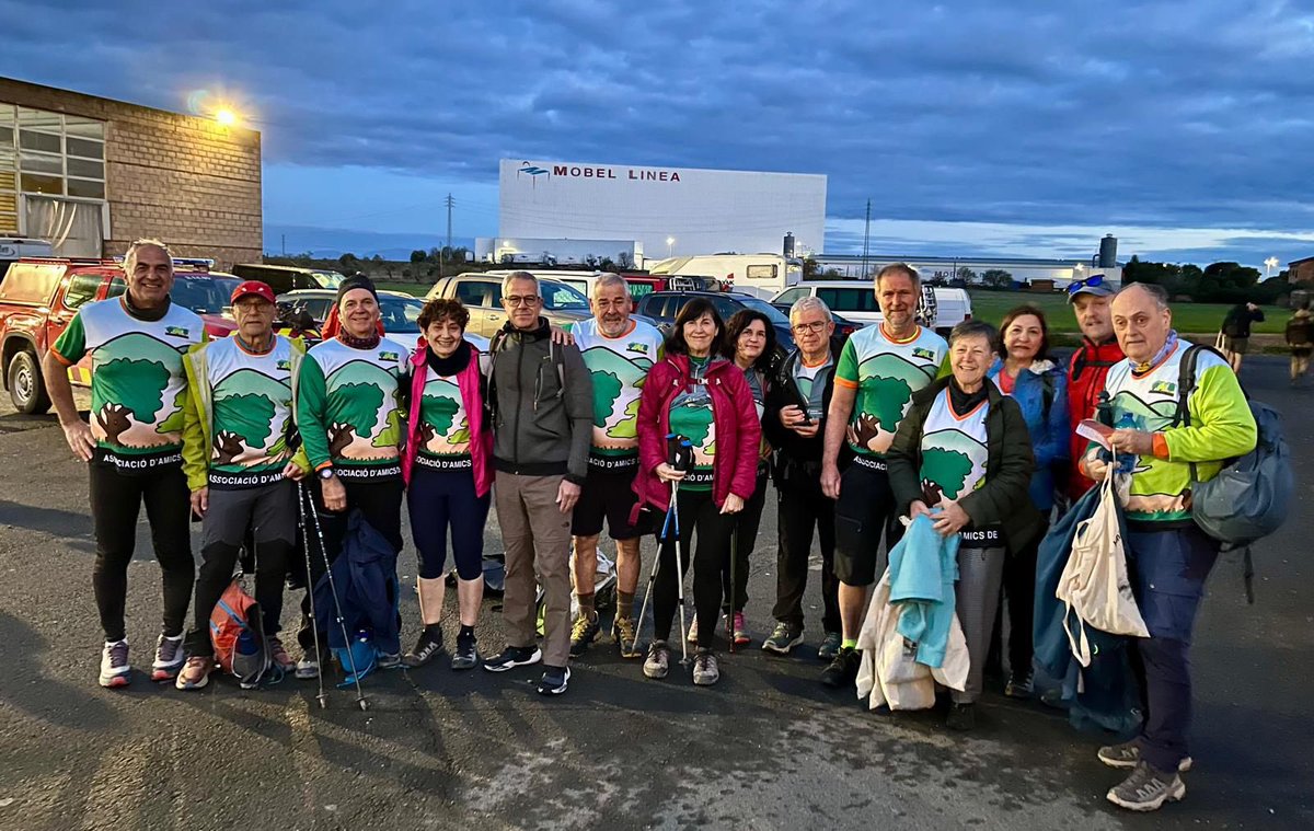 aamp.cat tweet media