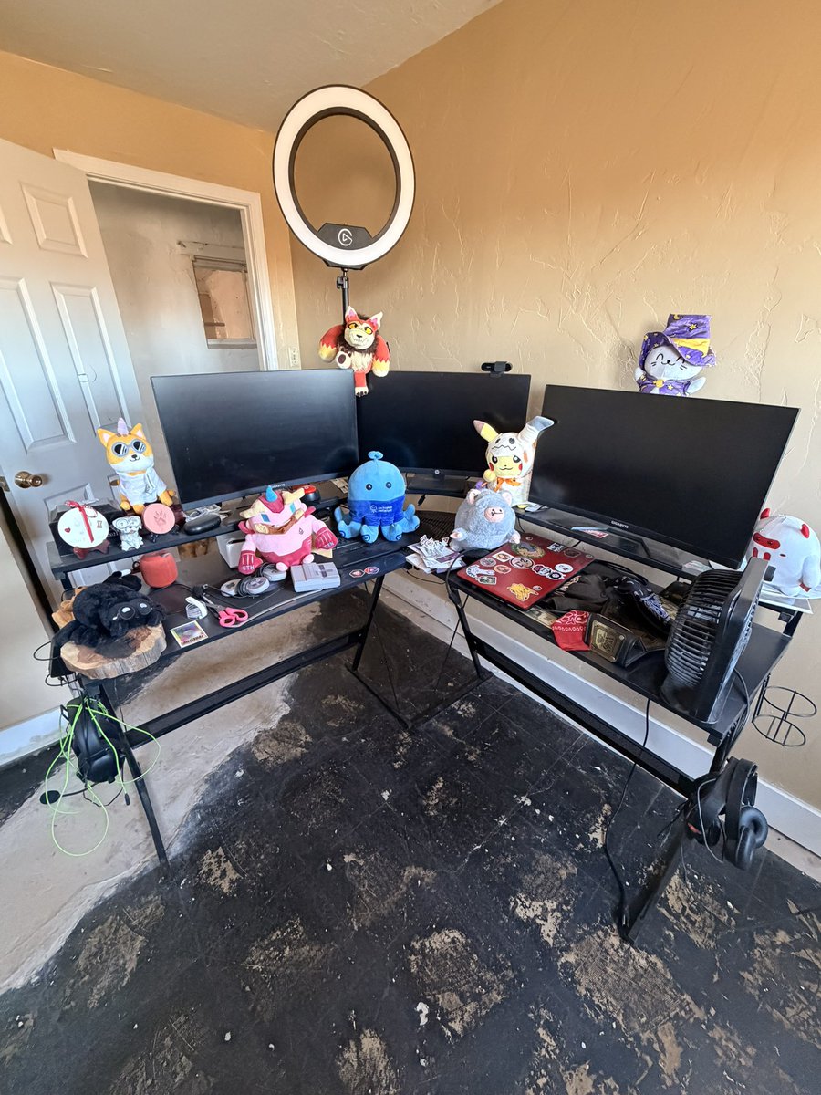 Migtoshi ™️ 🛡 tweet media