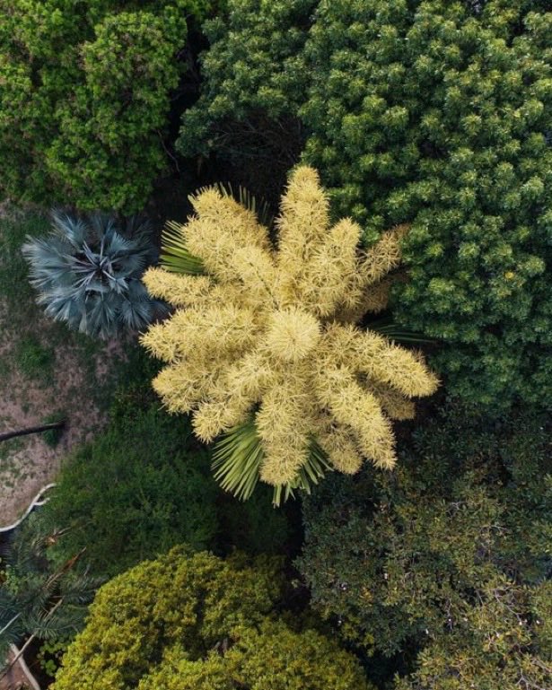 Liliana Franco tweet media