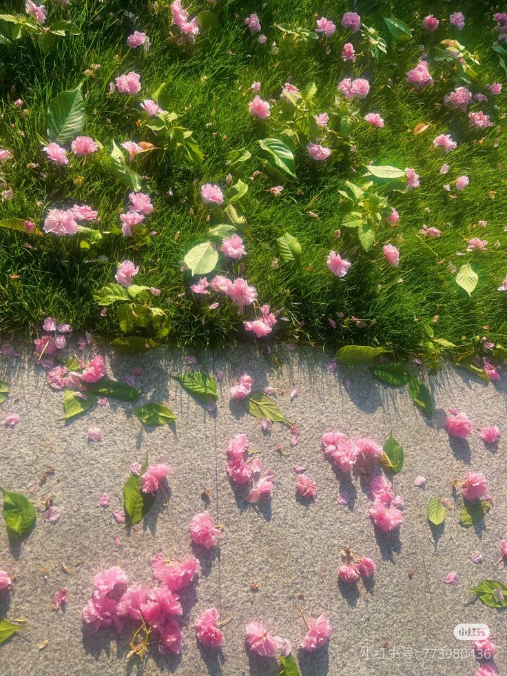 ᅠ ᅠ (@greendreaams) on Twitter photo 