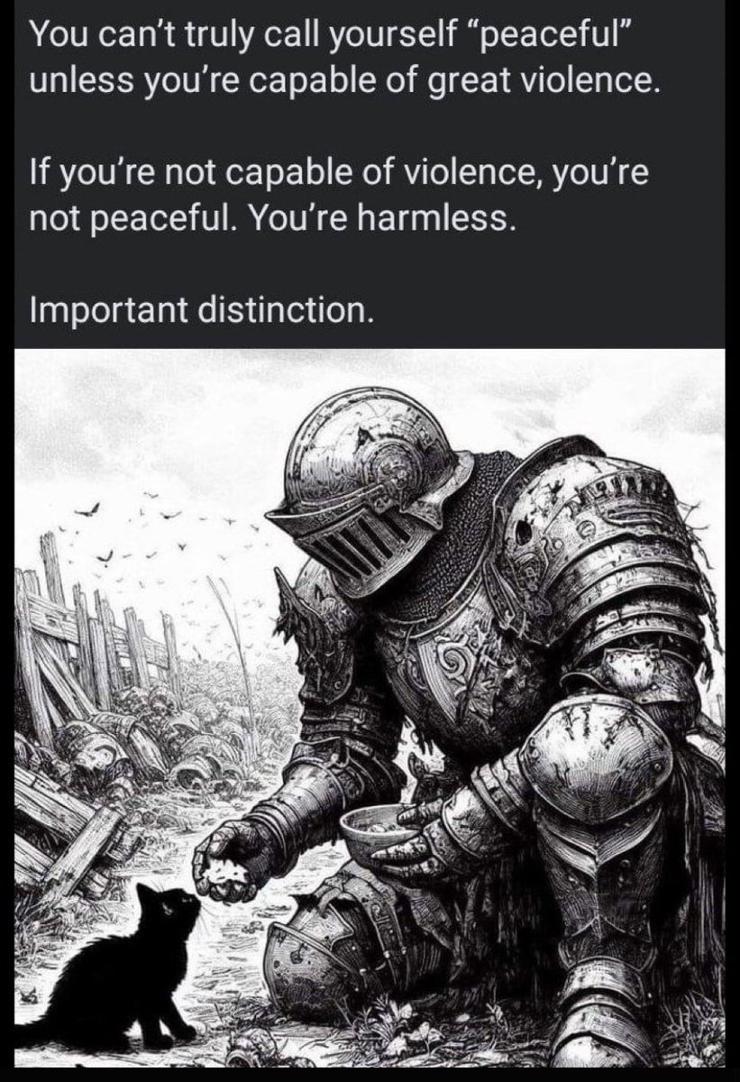 Synth3tic_M0nk tweet media