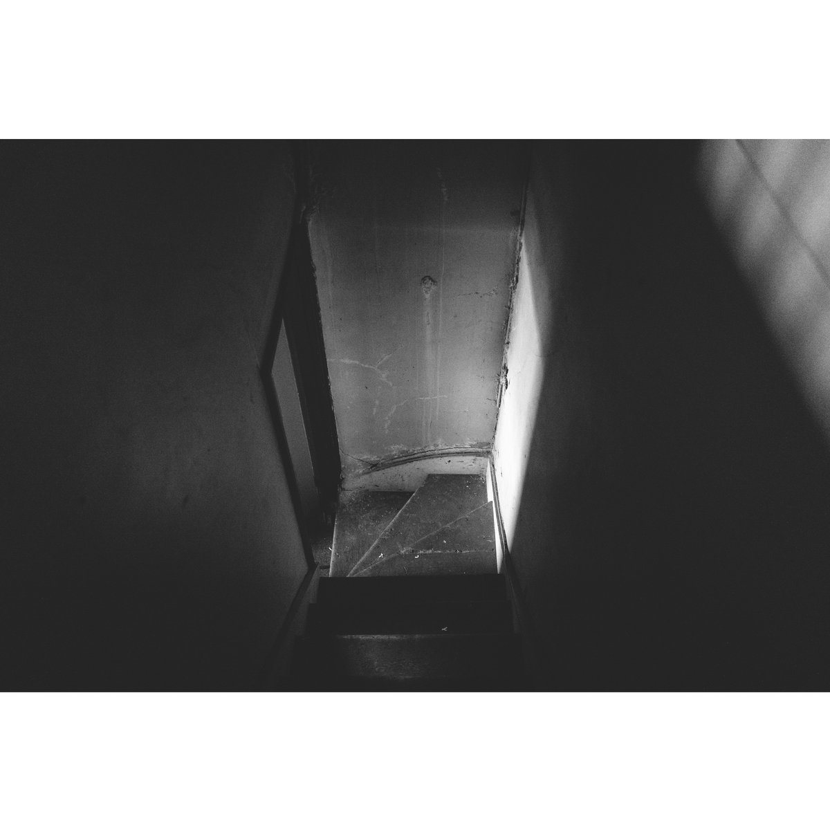 RealJonathanCastellino tweet media