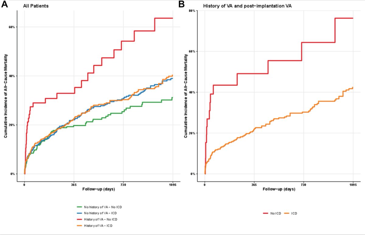 Raphael Martins tweet media