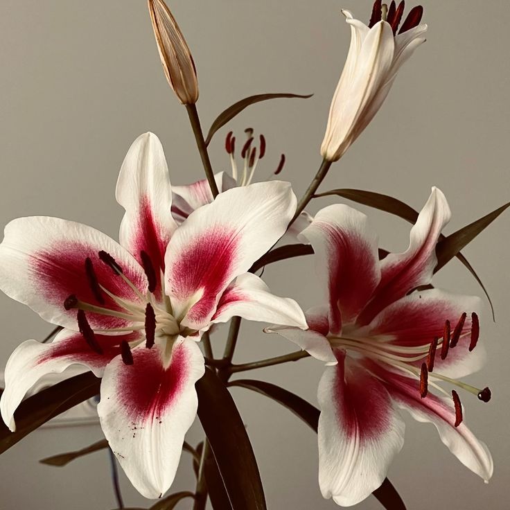 autumn girl tweet media