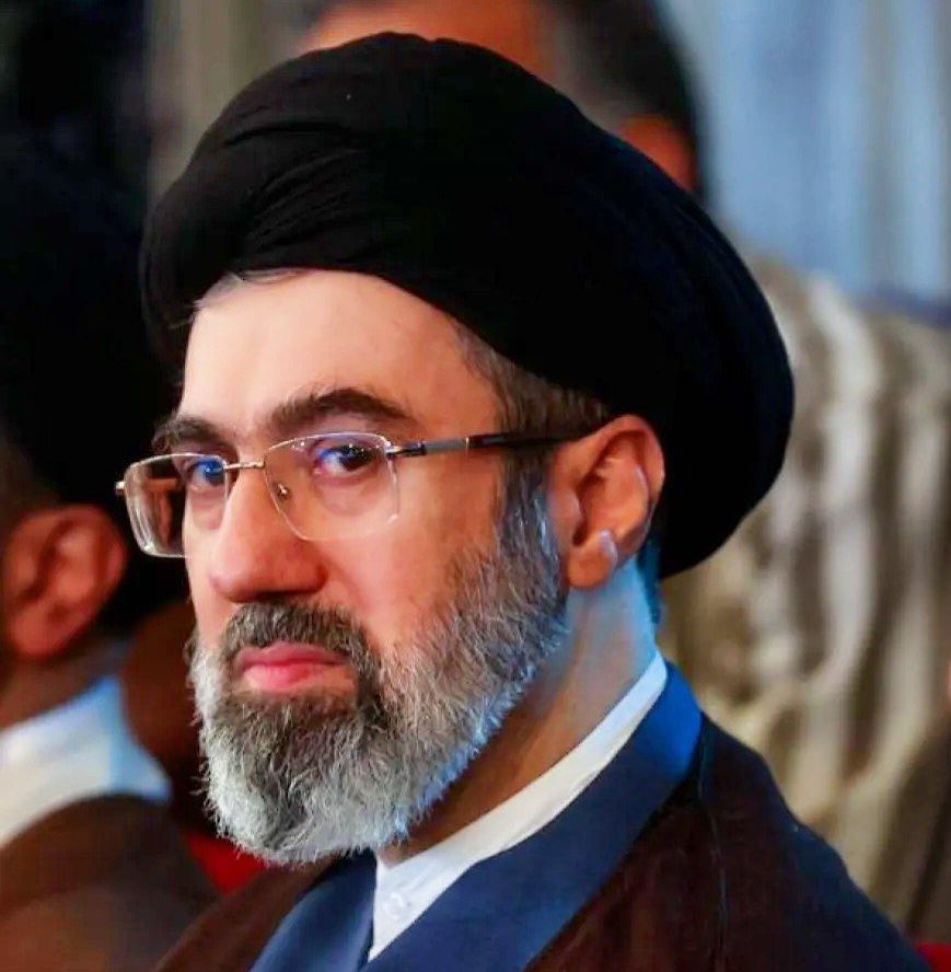 Mr.Wolf 🐺🎋 tweet media