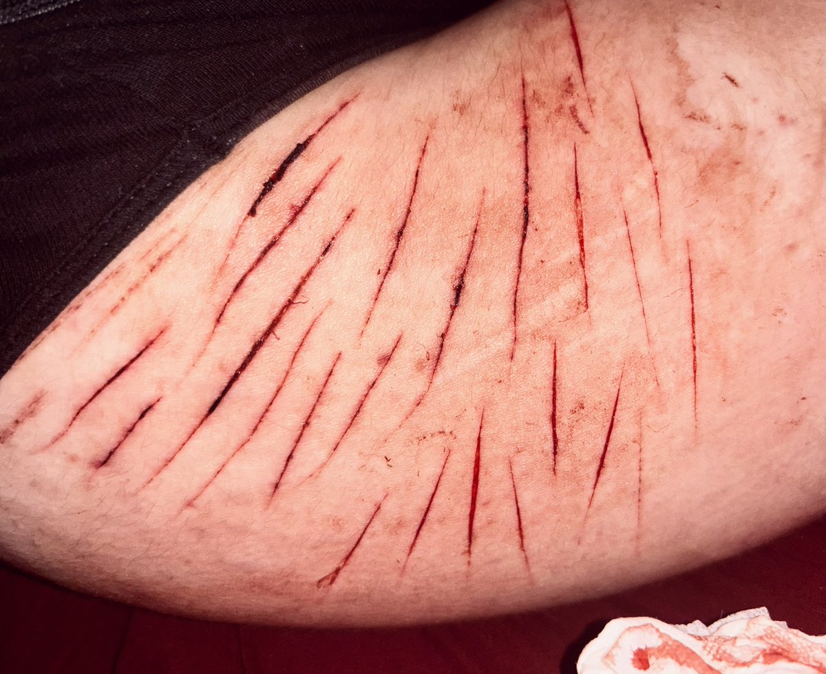 ♱⋮ᴺᴵⱽᴱᴷ tweet media