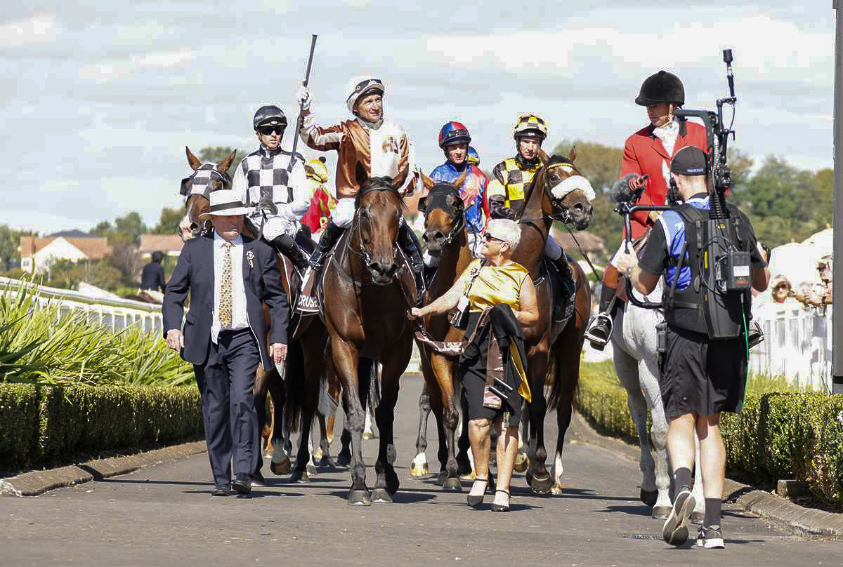 New Zealand Bloodstock tweet media