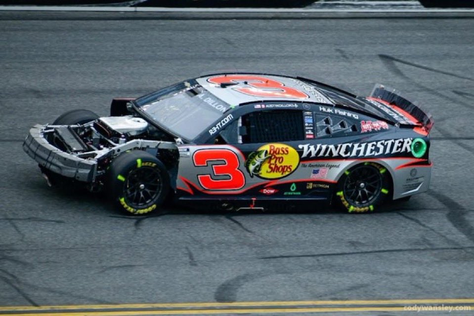 Buddy Holly tweet media