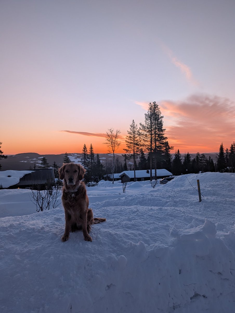 Investacus 🧠 💰 tweet media