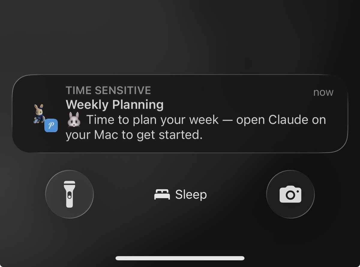 sarah mcbride tweet media