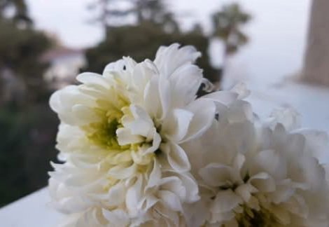 La felicità non è credere in qualcosa ma in qualcuno.

Fleabag 2x1