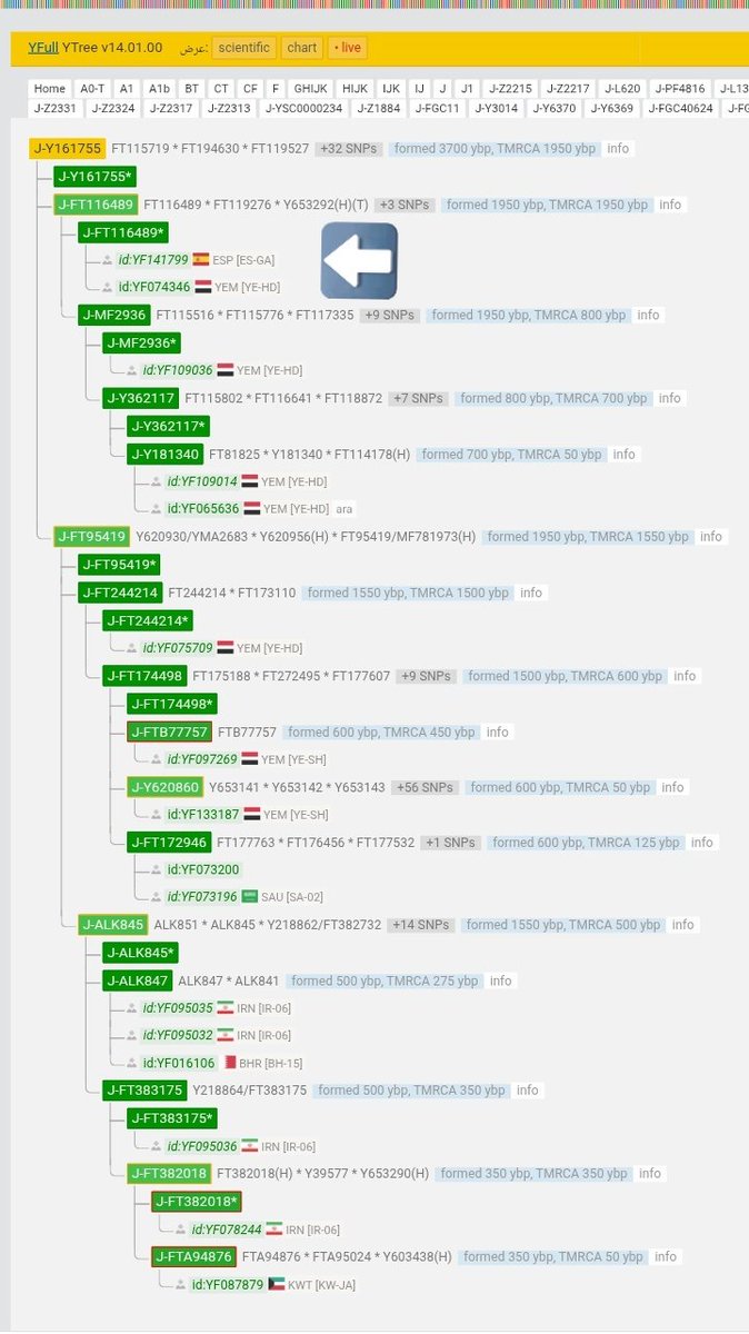 - نتيجة إسبانية من منطقة جاليسيا وذو أصول تعود إلى جنوب إسبانيا  على التحور Y161755 المتفرع عن التحور FGC3723 تلتقي مع نتائج يمنية من حضرموت.
- فهل يمكن أن تعود العينة لآل خلدون قوم العلامة عبد الرحمان ابن خلدون الحضرمي الذين دخلوا الأندلس مع الفتوحات الإسلامية؟!
