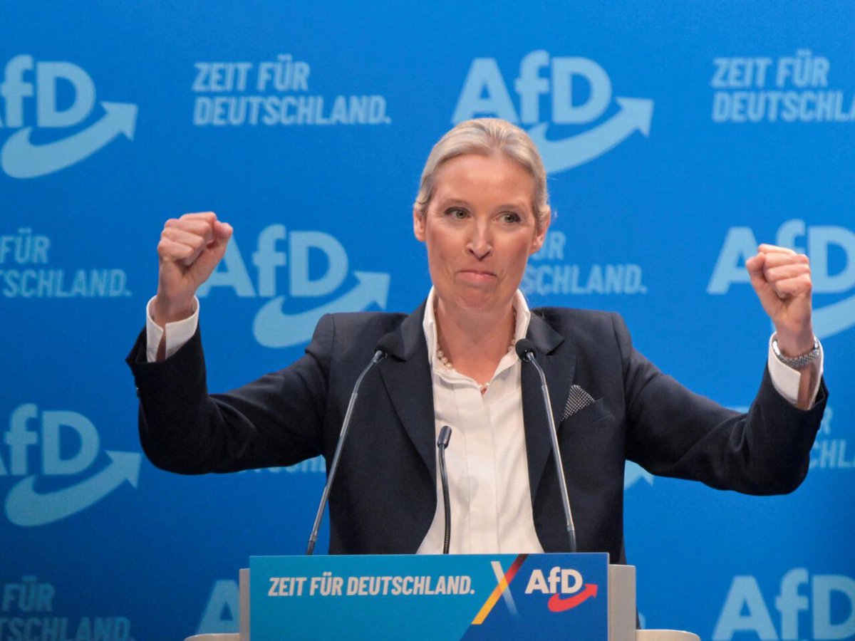 The Perspective tweet media