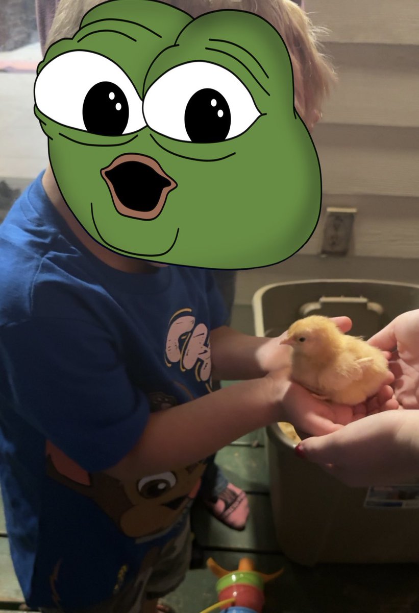 TimtoKill tweet media