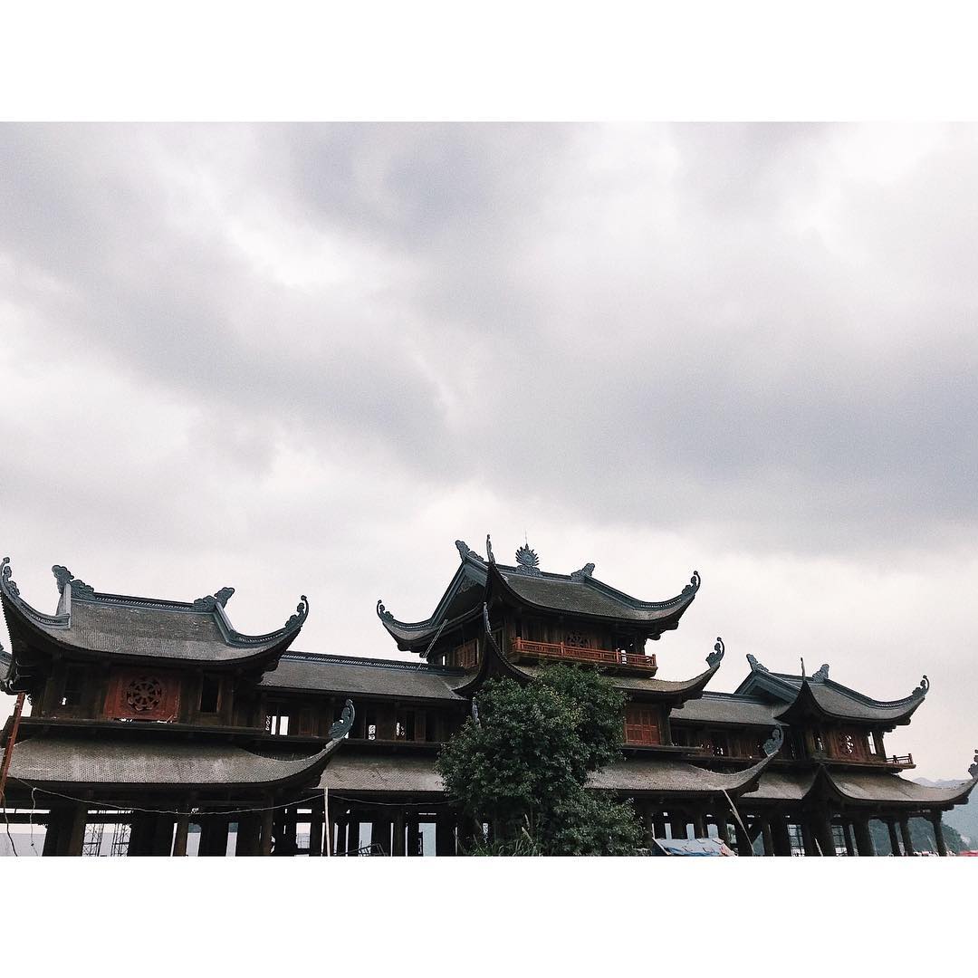 laura lopez tweet media