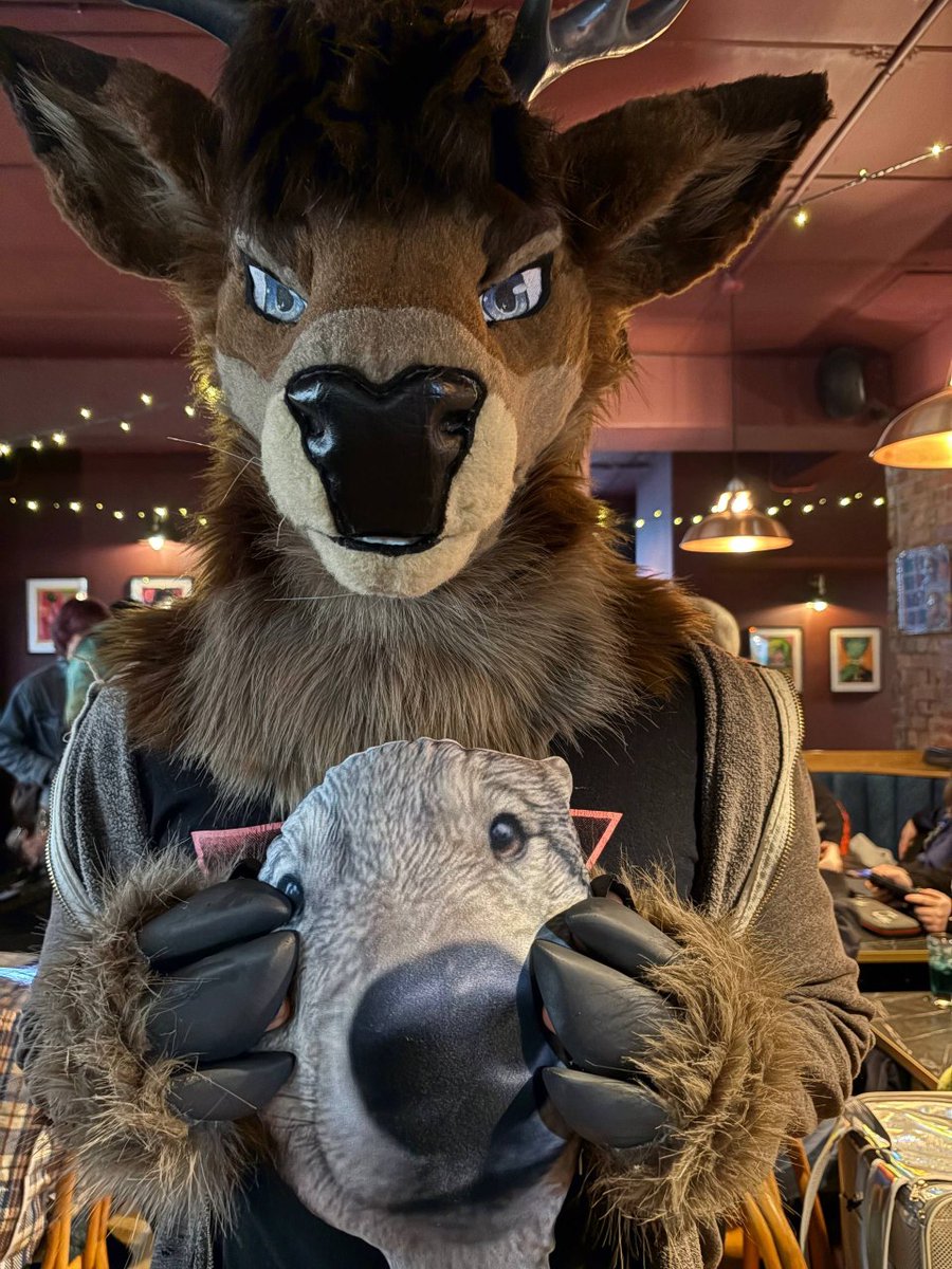 jay 🦌 🔜 CFz tweet media