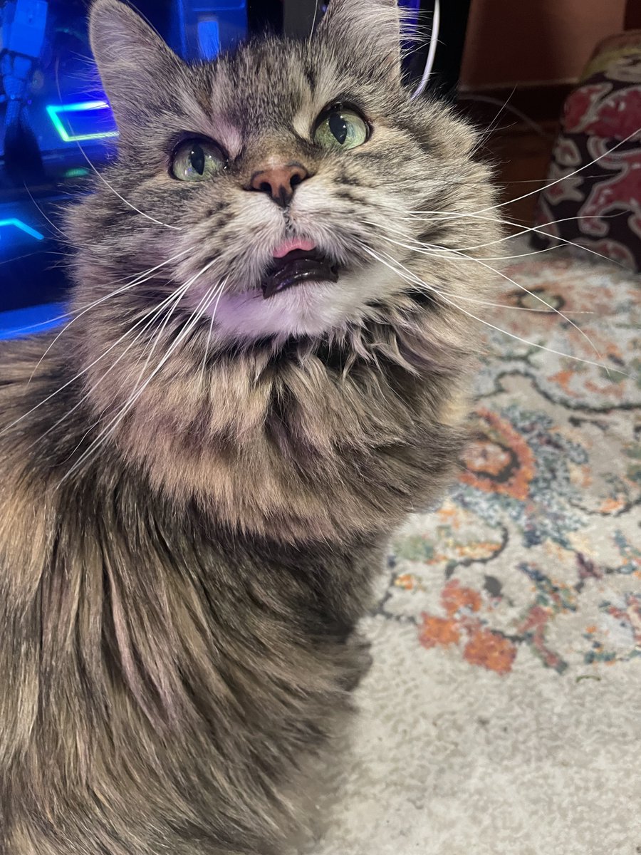 Wonderful 🌍 💯 percent trust. tweet media