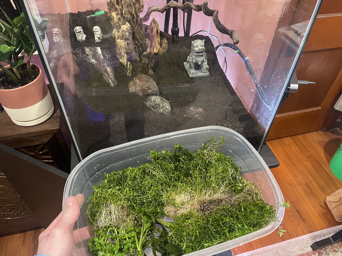 Wonderful 🌍 💯 percent trust. tweet media